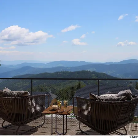 Tomtegl-bergchalet-no-2-mit-privatsauna-infinitypool-kamin-fitnessraum-1500m-seehoehe Holiday home *